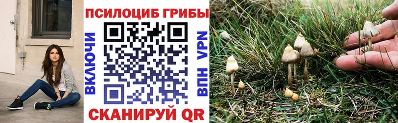 блэк спрут зеркало  наркотики  Медвежьегорск  Галлюциногенные грибы GOLDEN TEACHER 